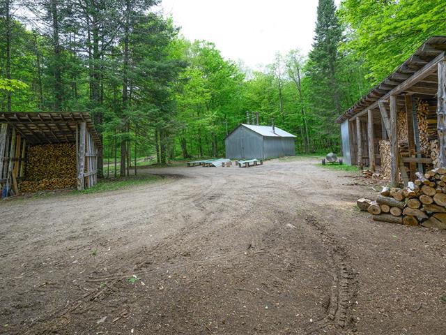 Érablière