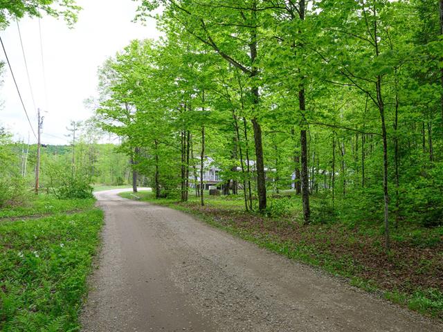 Terre à bois