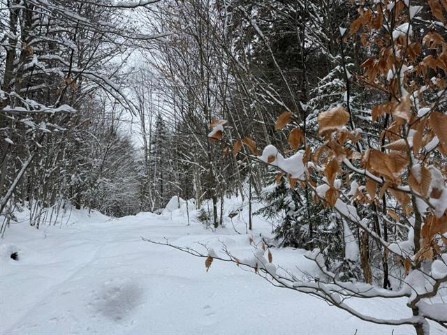 maison à vendre Wentworth