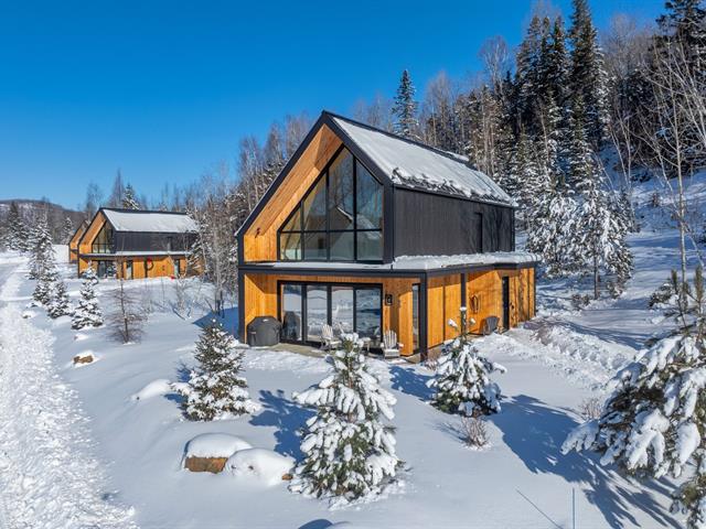 maison à vendre Mont-Tremblant
