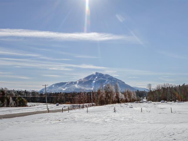 maison à vendre Potton