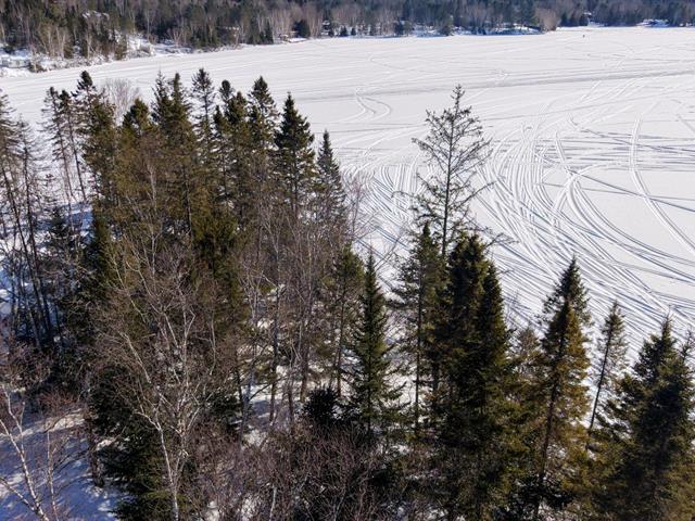 Terre/Terrain