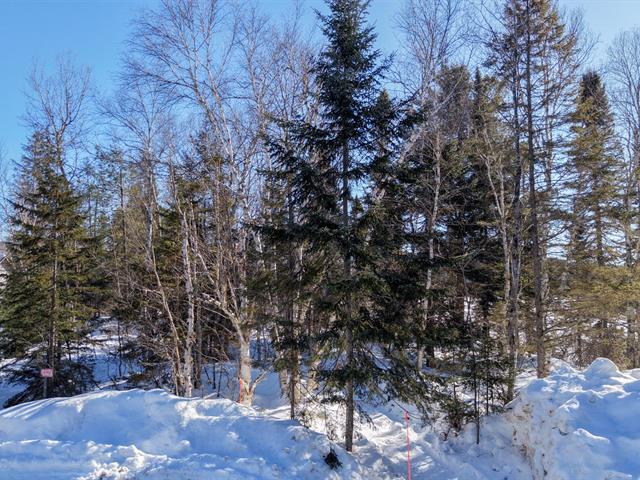 Terre/Terrain