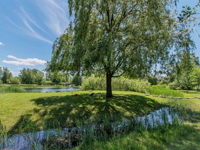 Vue sur l'eau