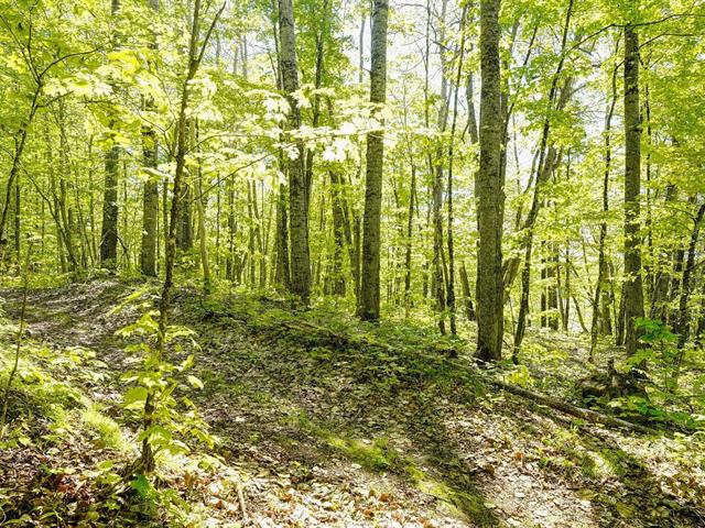 Terre/Terrain