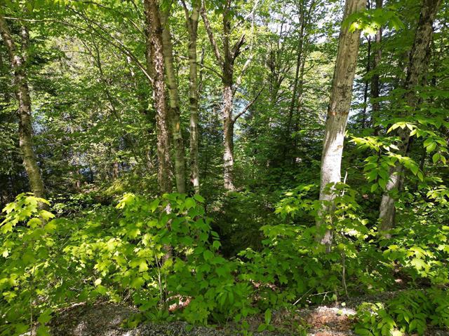 Land/Lot