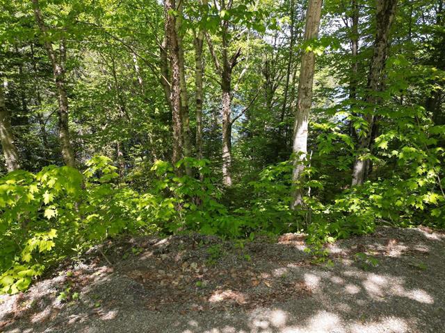 Land/Lot