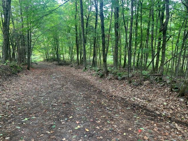Terre/Terrain
