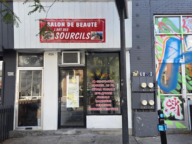 house for sale Montréal (Le Plateau-Mont-Royal)