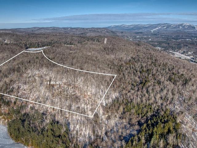 maison à vendre Mont-Tremblant