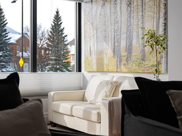 maison à vendre Montréal (Rosemont/La Petite-Patrie)