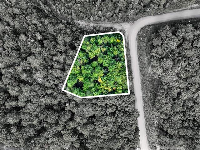 Vue