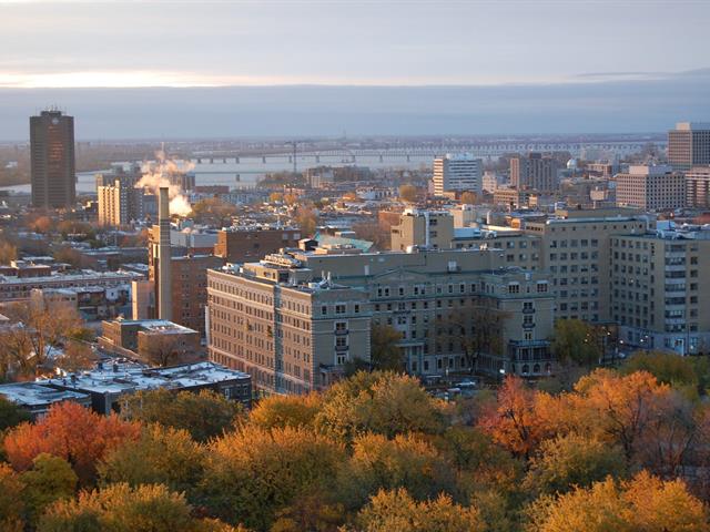 Vue