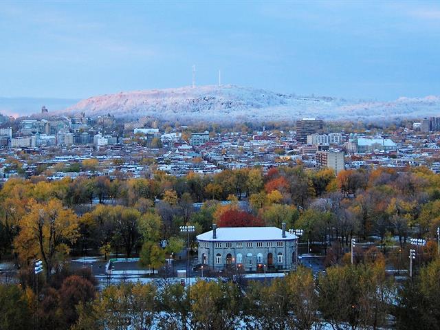 Vue
