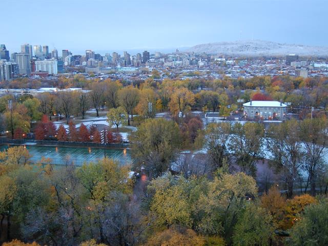 Vue