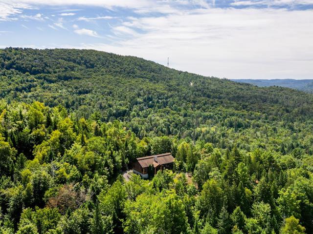 Vue d'ensemble