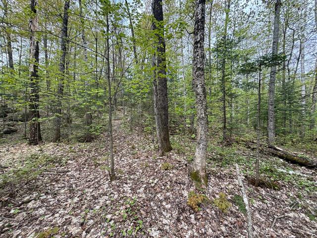 Land/Lot