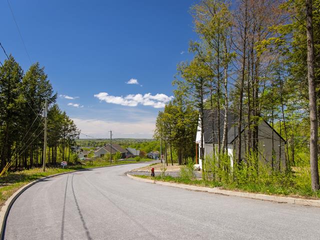 Overall View
