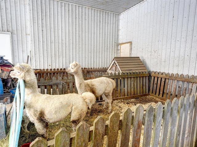 Fermette à vendre, Mascouche