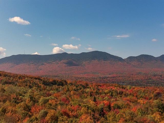 Vue