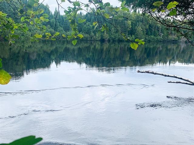 Bord de l'eau