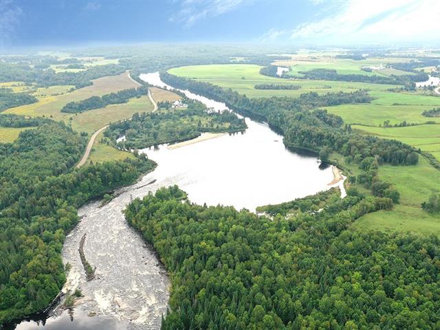 Bord de l'eau