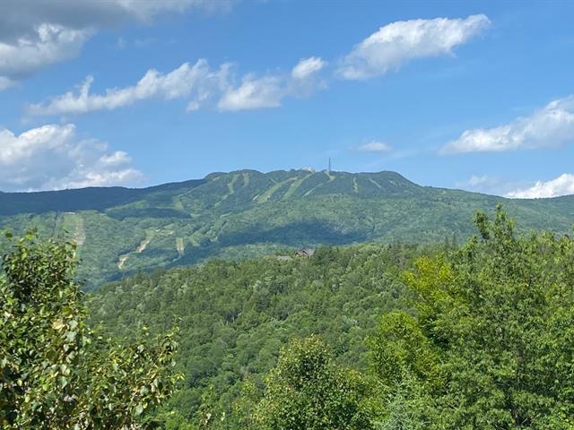 Vue