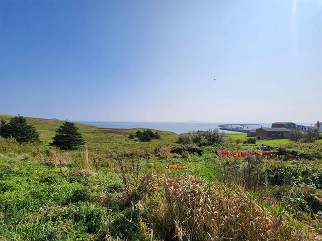 Vue sur l'eau