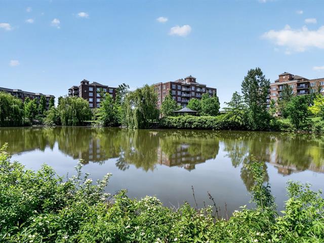 Bord de l'eau