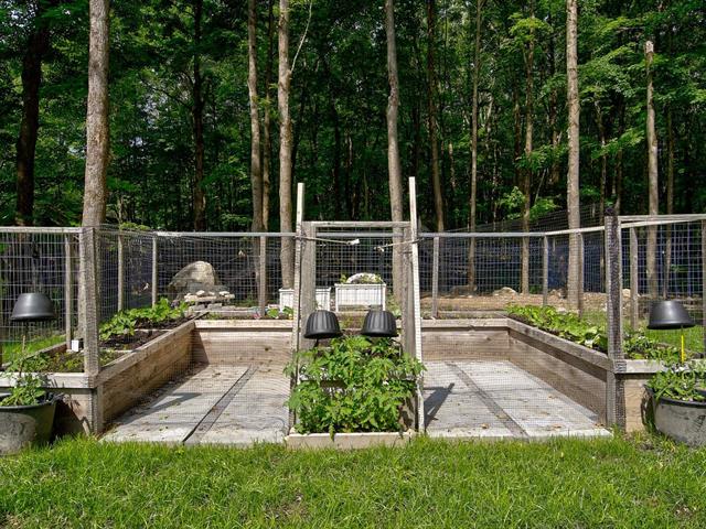 Jardin