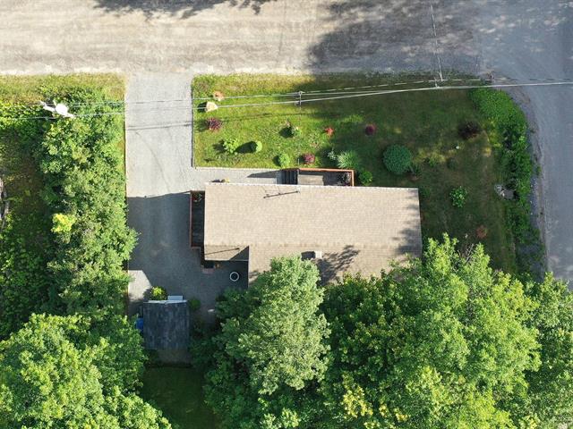 Overall View