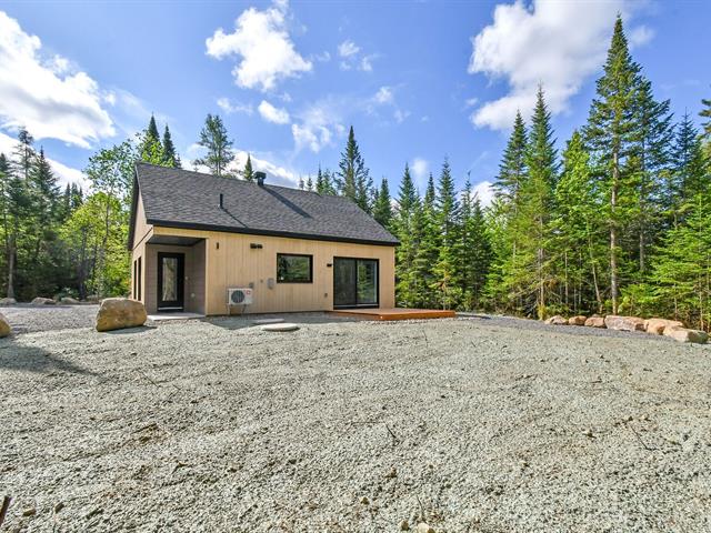 maison à vendre Sainte-Lucie-des-Laurentides