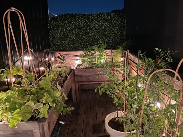 Terrasse