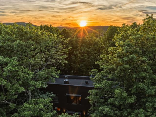 Vue