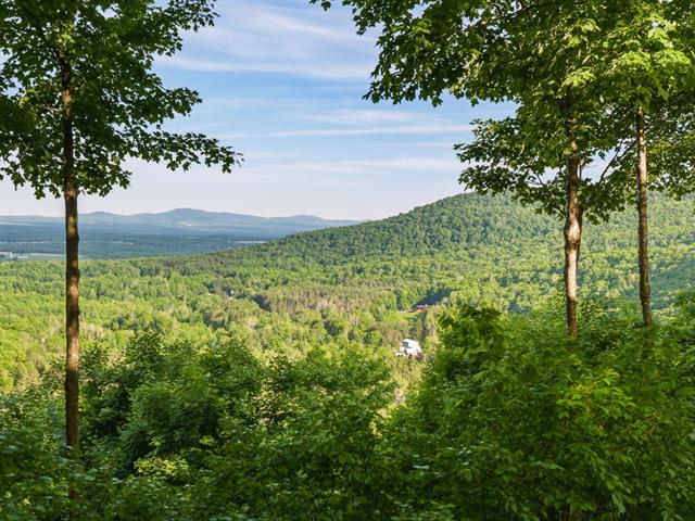 Vue