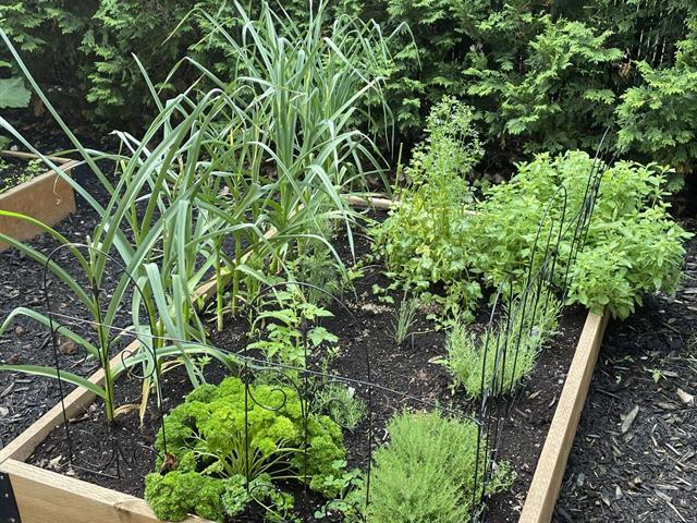 Jardin