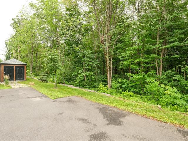 Wooded area