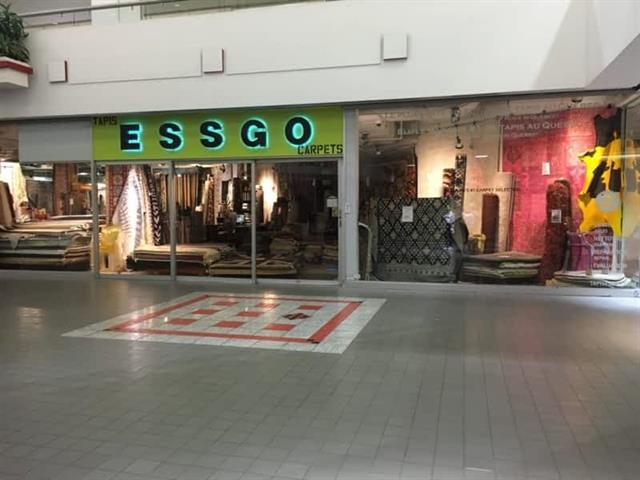 maison à vendre Côte-Saint-Luc