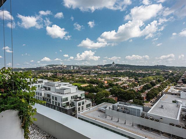 Vue