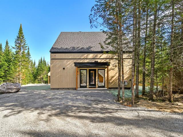 maison à vendre Sainte-Lucie-des-Laurentides