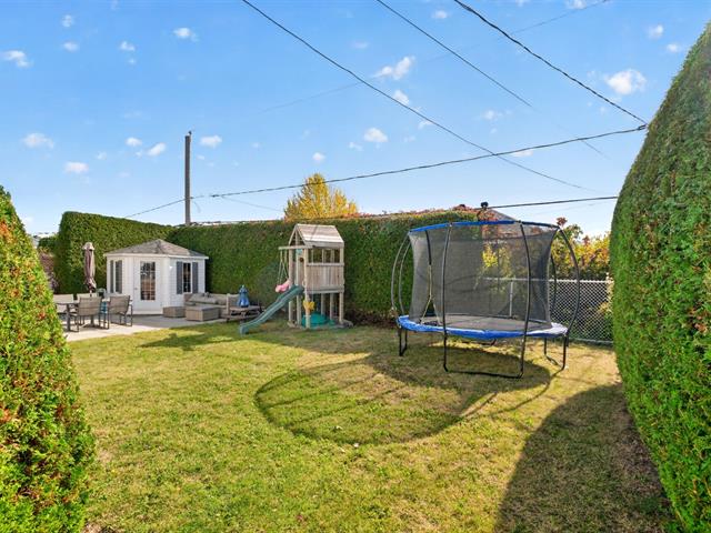 Cour