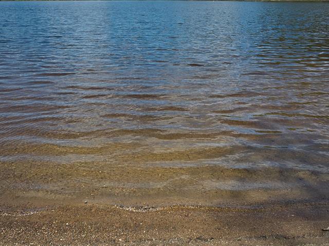 Bord de l'eau