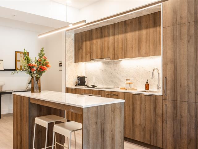 maison à vendre Montréal (Ville-Marie)