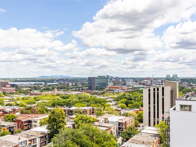 Vue