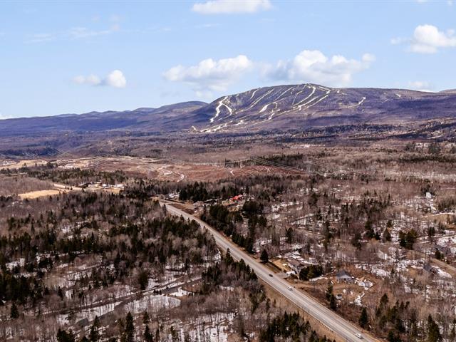 Overall View