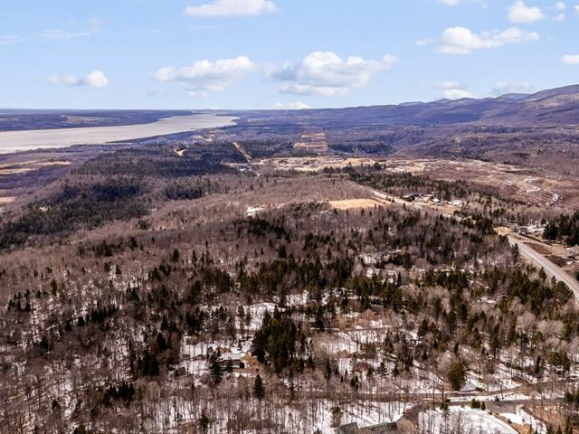 Overall View