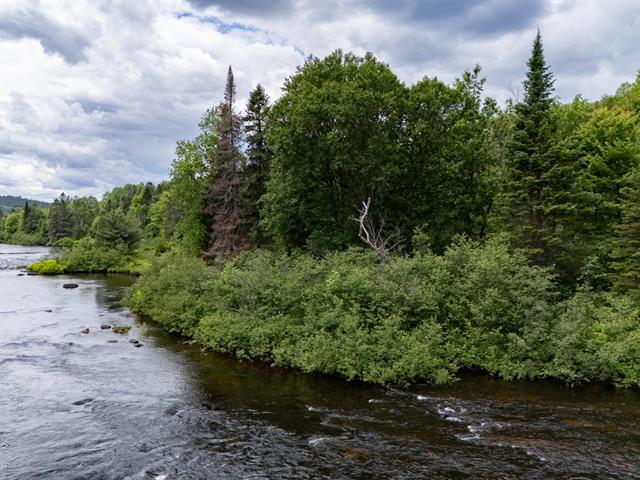 Vue sur l'eau