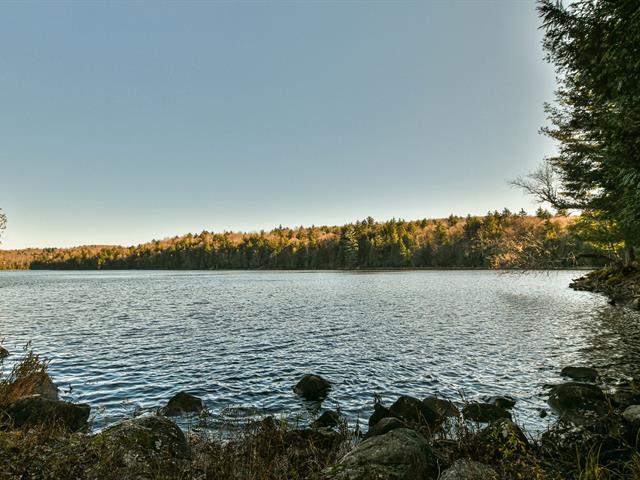 Bord de l'eau