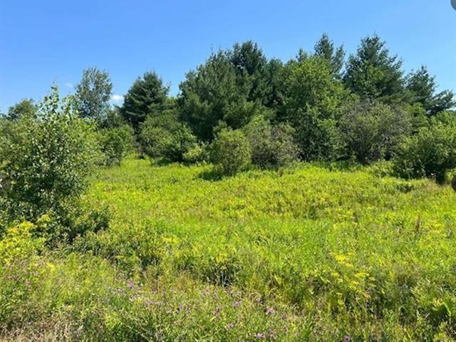 maison à vendre Potton
