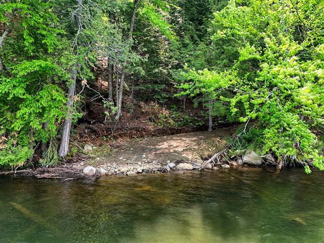 Bord de l'eau
